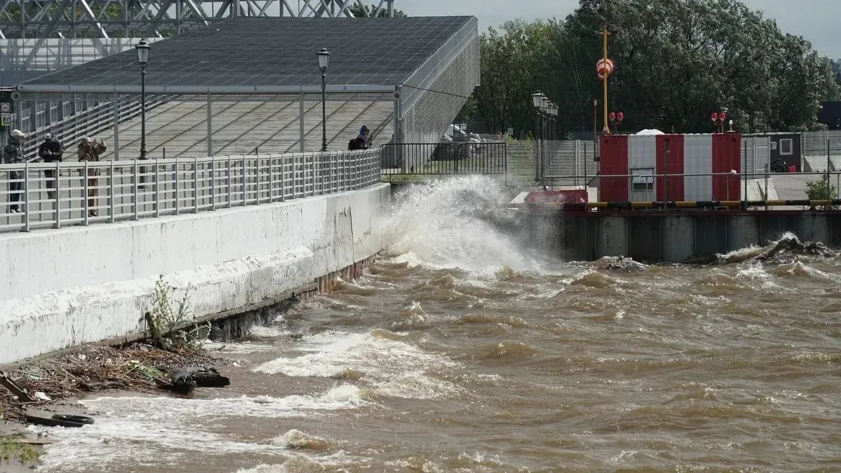 Фото: Павел Борисенко / MR7