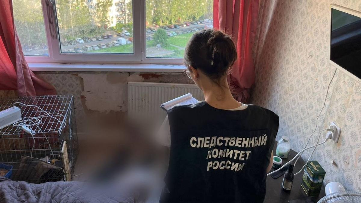 Фото: следственный комитет Петербурга