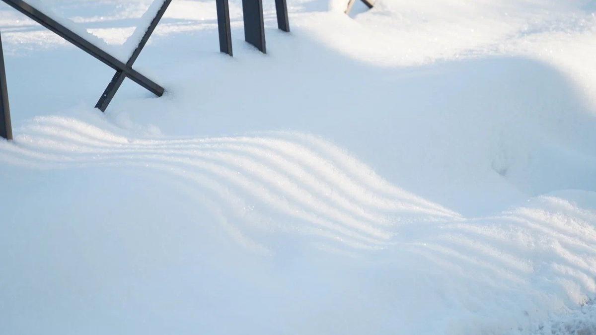 Фото: Павел Борисенко / MR7