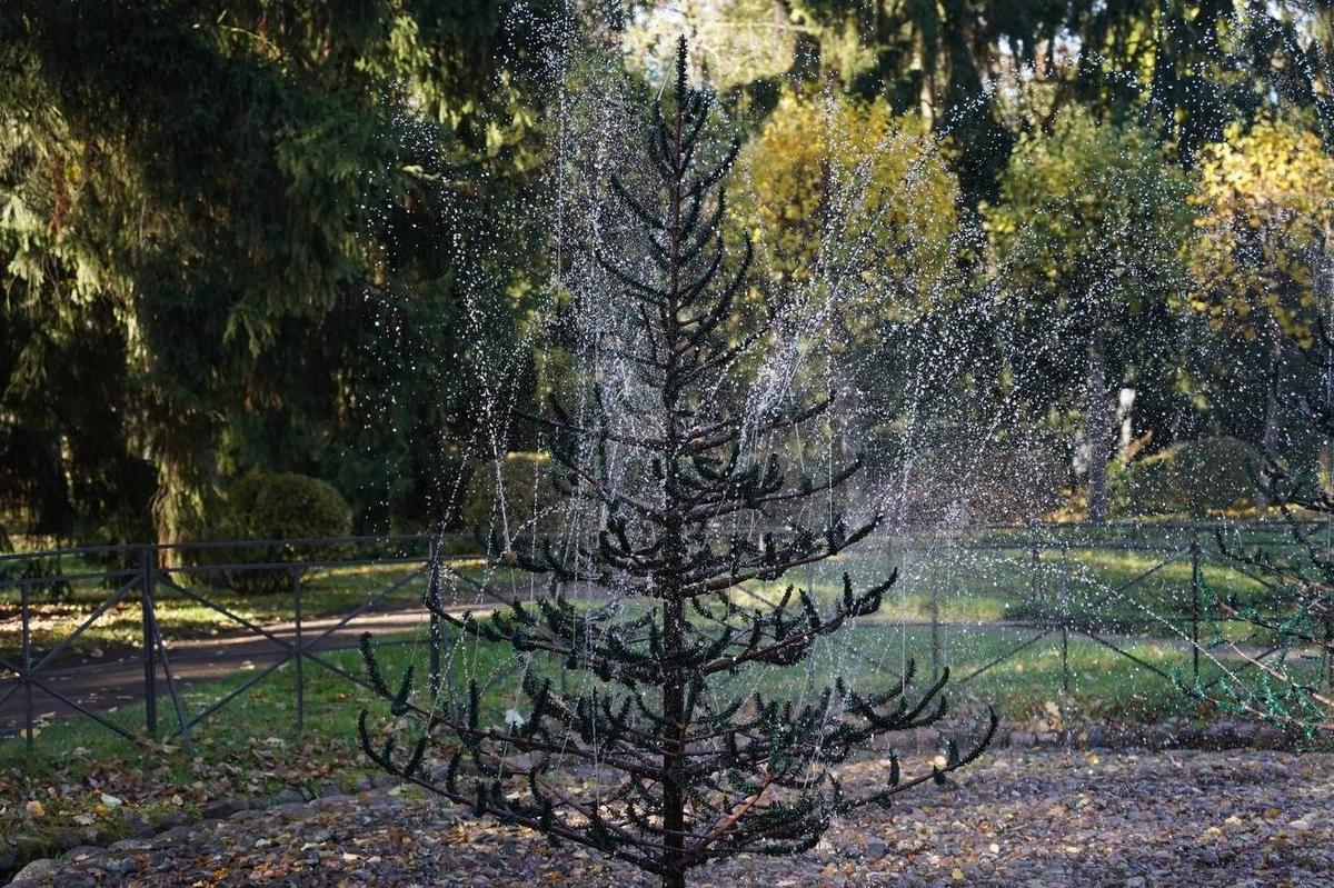 Фонтан «Ёлочки». Фото: Павел Борисенко / МР7