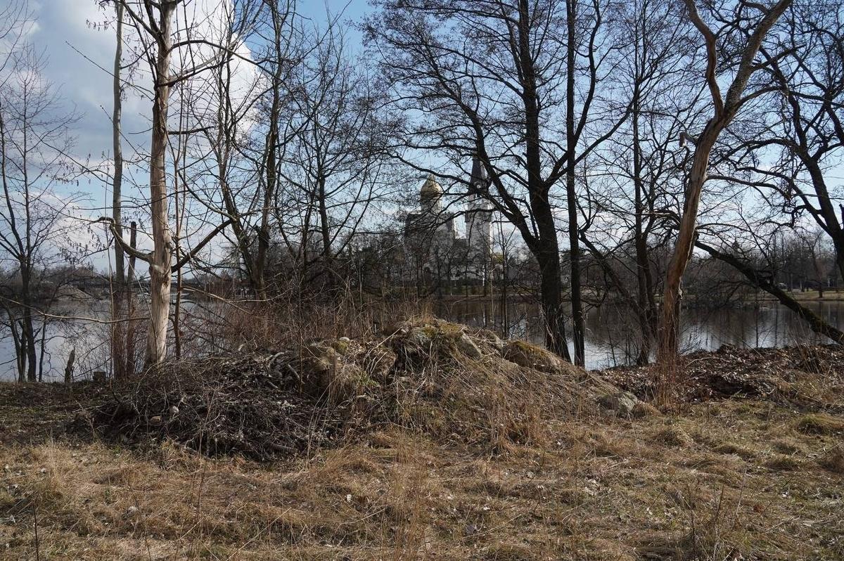 Фото: Павел Борисенко / МР7