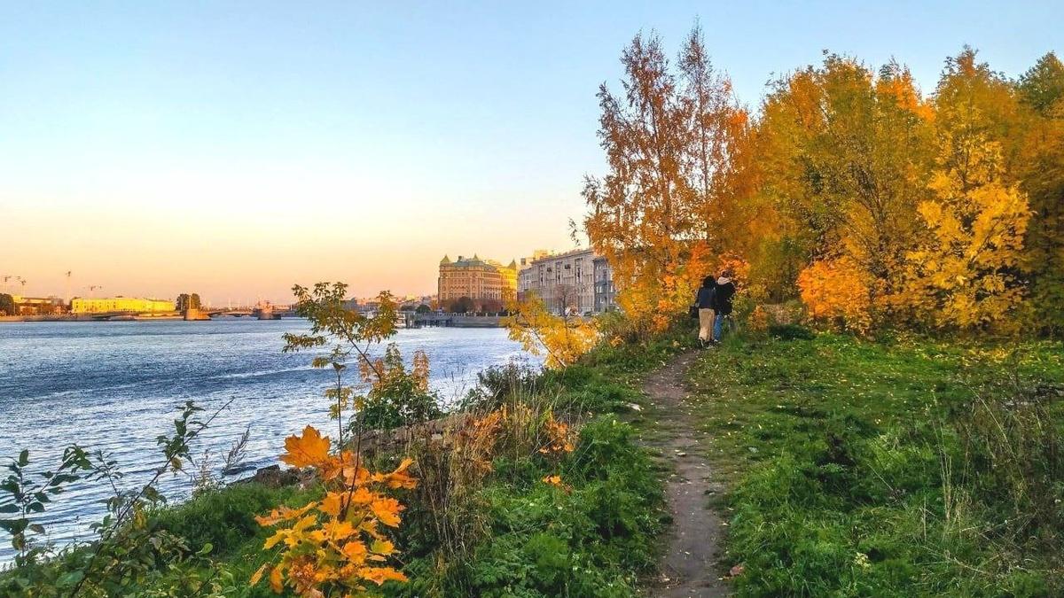 Чиновники выдали порубочный билет на снос зеленых насаждений в парке «Заросли»