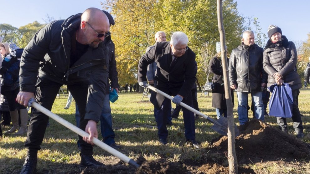 В петербургском Сквере Памяти высадили 11 деревьев в честь погибших участников СВО