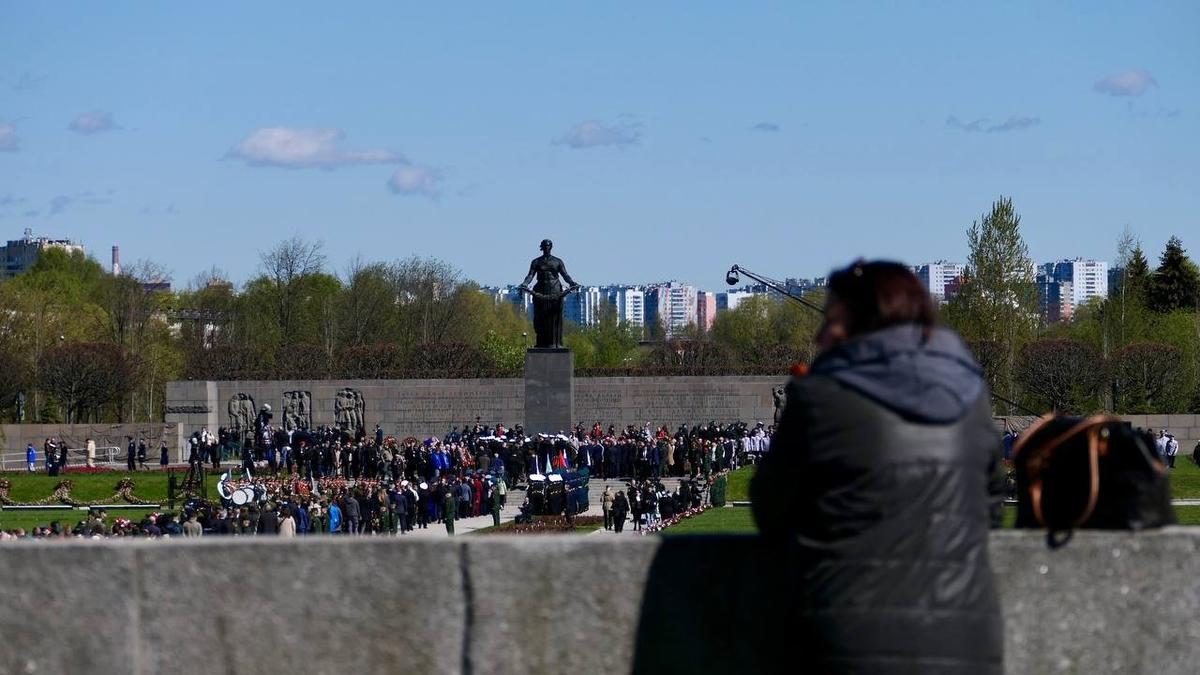 Фото: Дарья Дмитриева / МР7