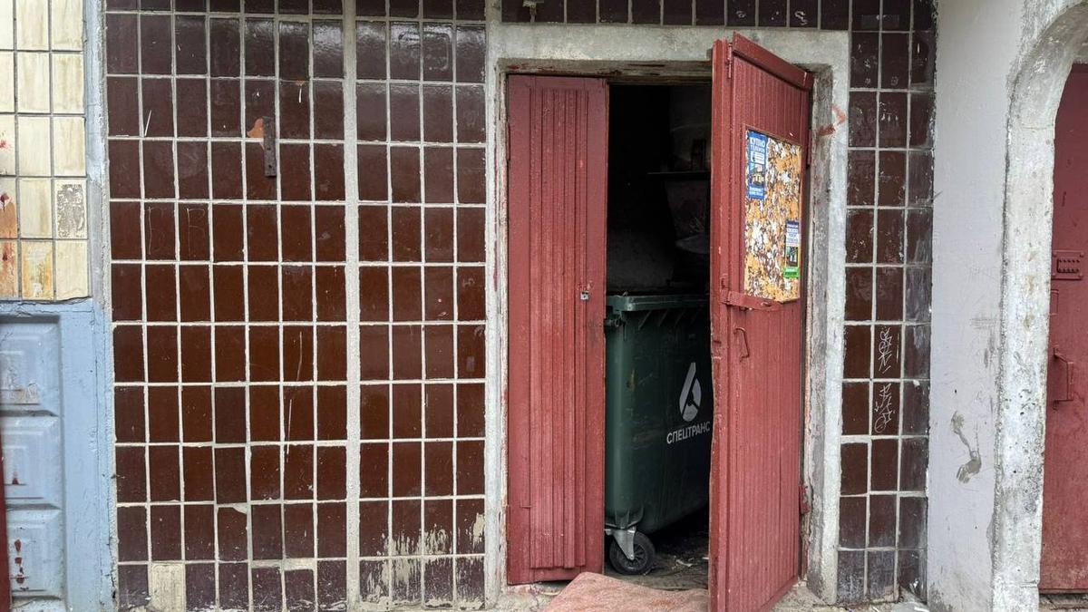 В коробке у мусоропровода во Всеволожске нашли новорожденную девочку