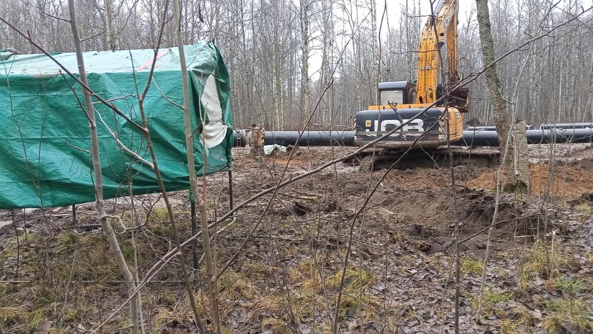 Фото: «Стоп АБЗ»