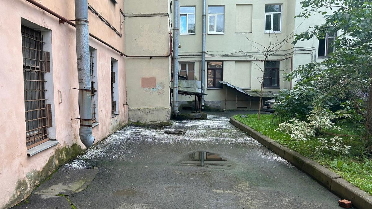 Фото: «Нарвская застава»
