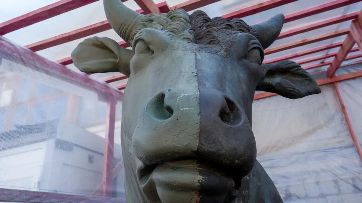 Фото: Олег Золото / MR7