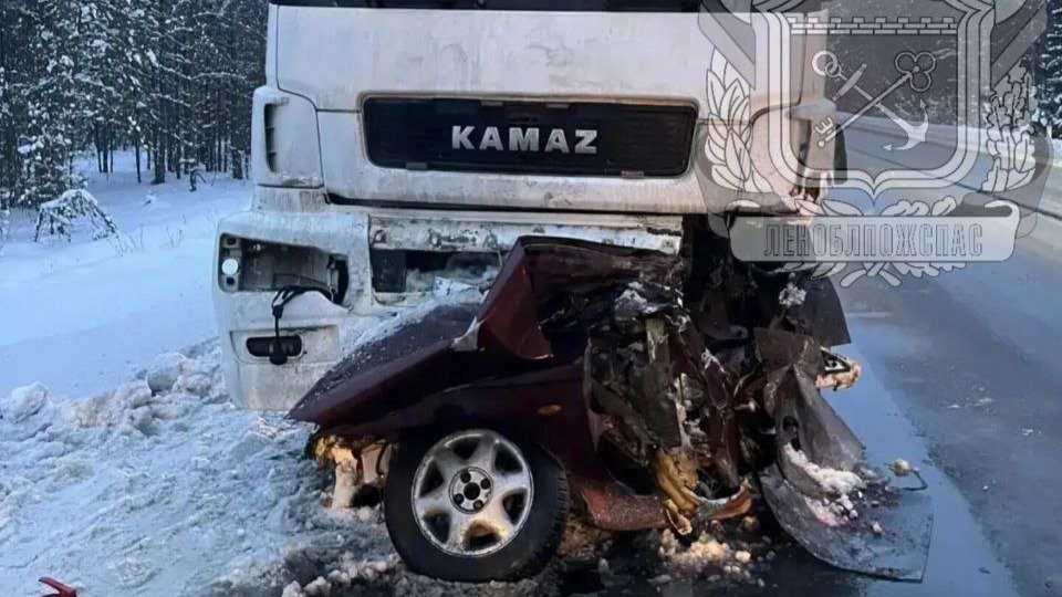 Фото: Леноблпожспас