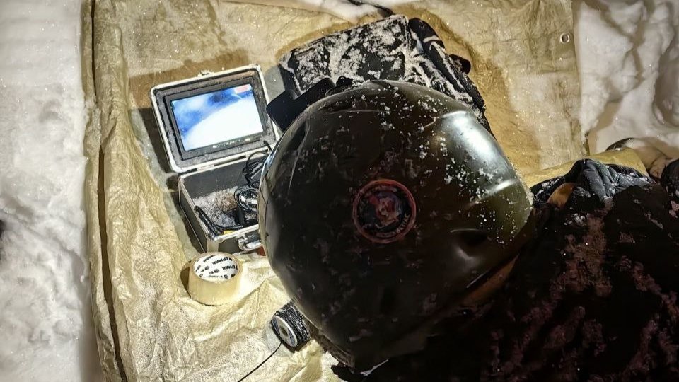 Фото: «Кошкиспас»