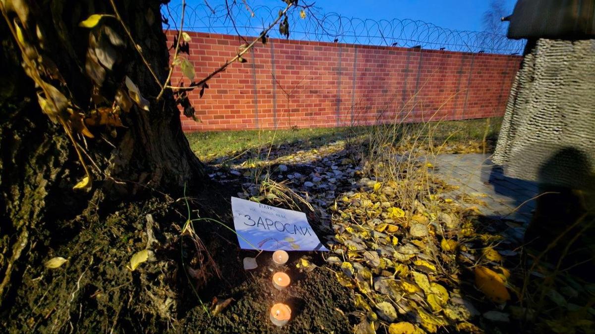 Фото: читатель MR7