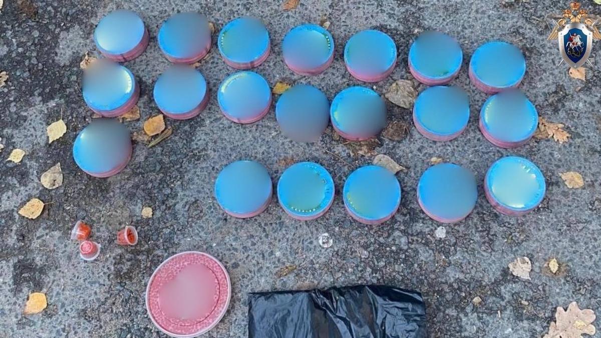 В Петербурге возбудили уголовное дело о контрабанде икры амурского осетра