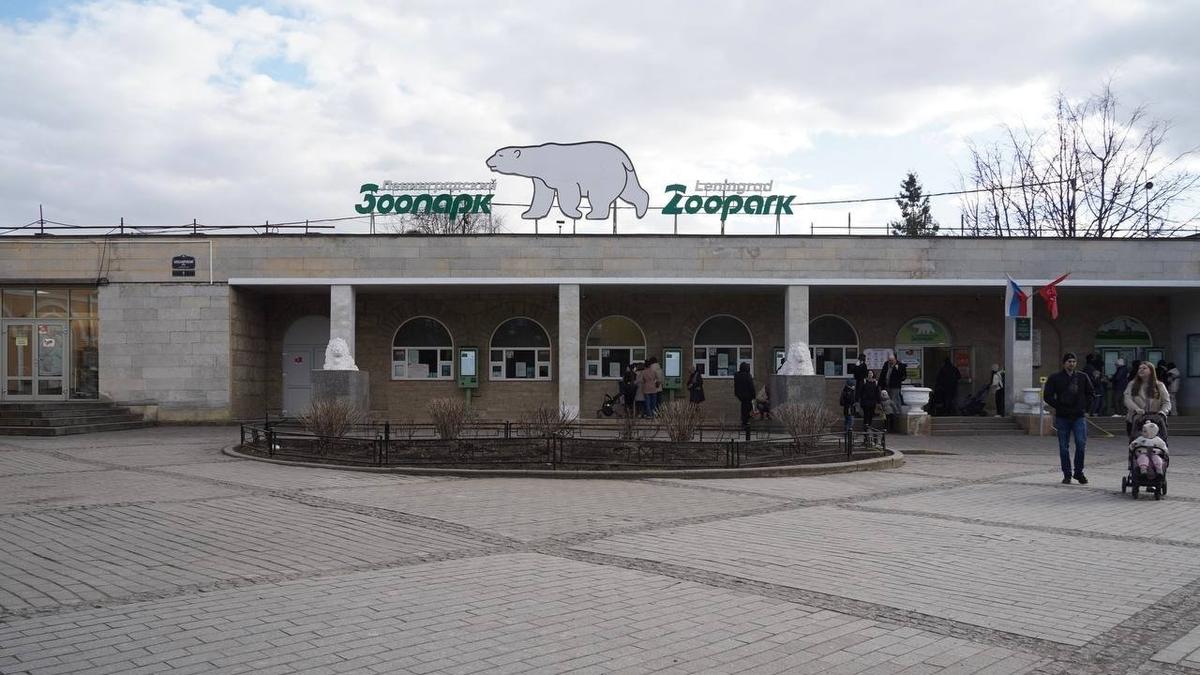 «Мы хотим два современных зоопарка и сильную научную базу» — о чём мечтает Ленинградский зоопарк