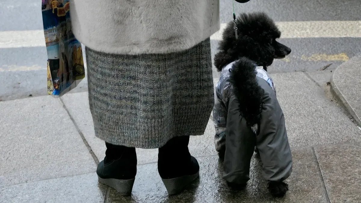 Фото: Павел Даиси / МР7