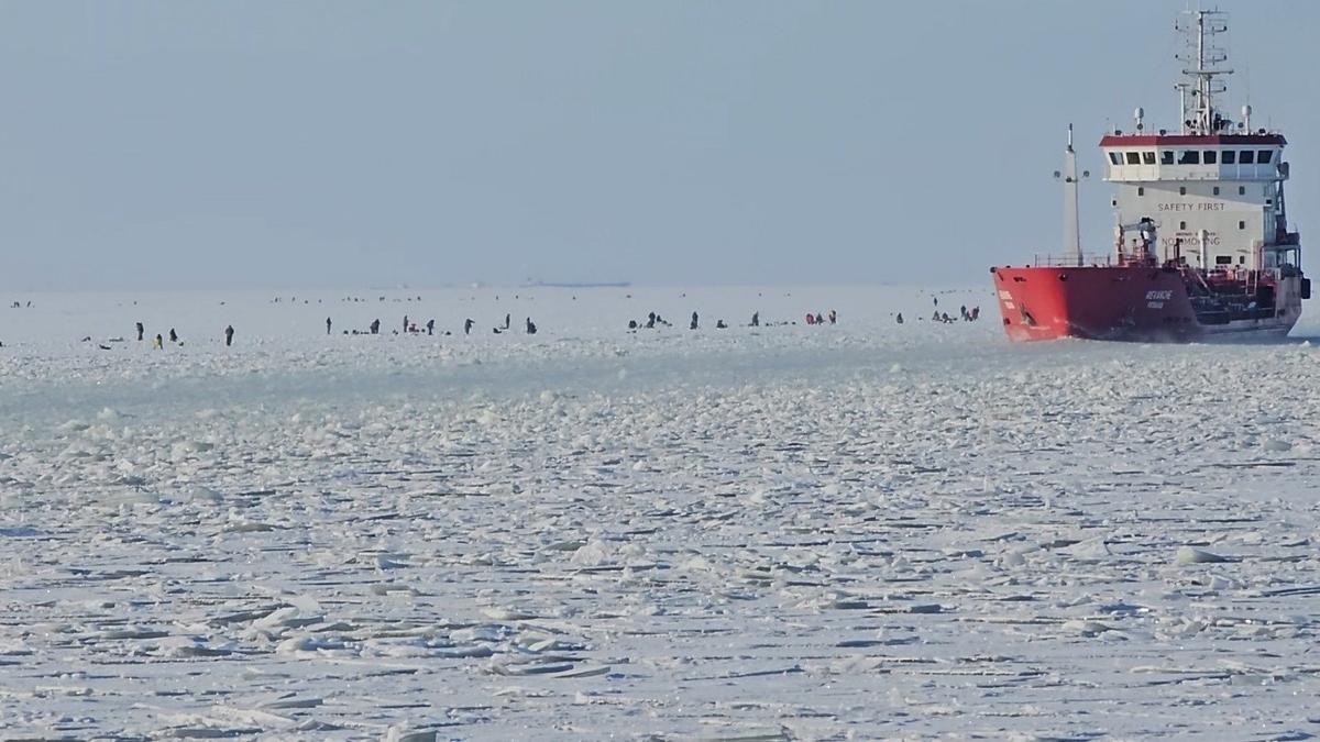 Скриншот видео: дирекция КЗС