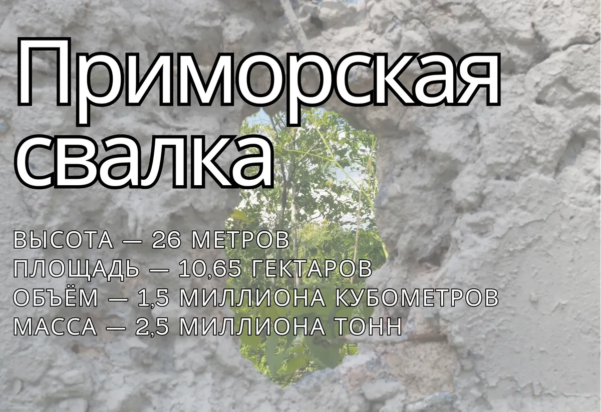 Инфографика: MR7