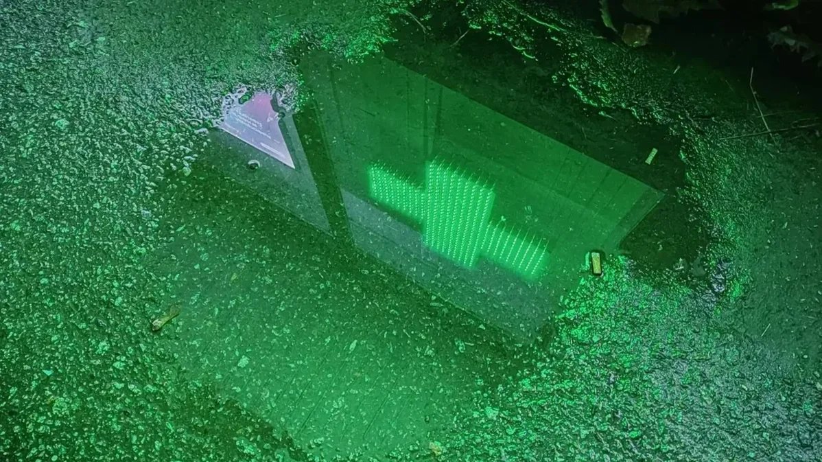 Фото: Дмитрий Абрамов / МР7