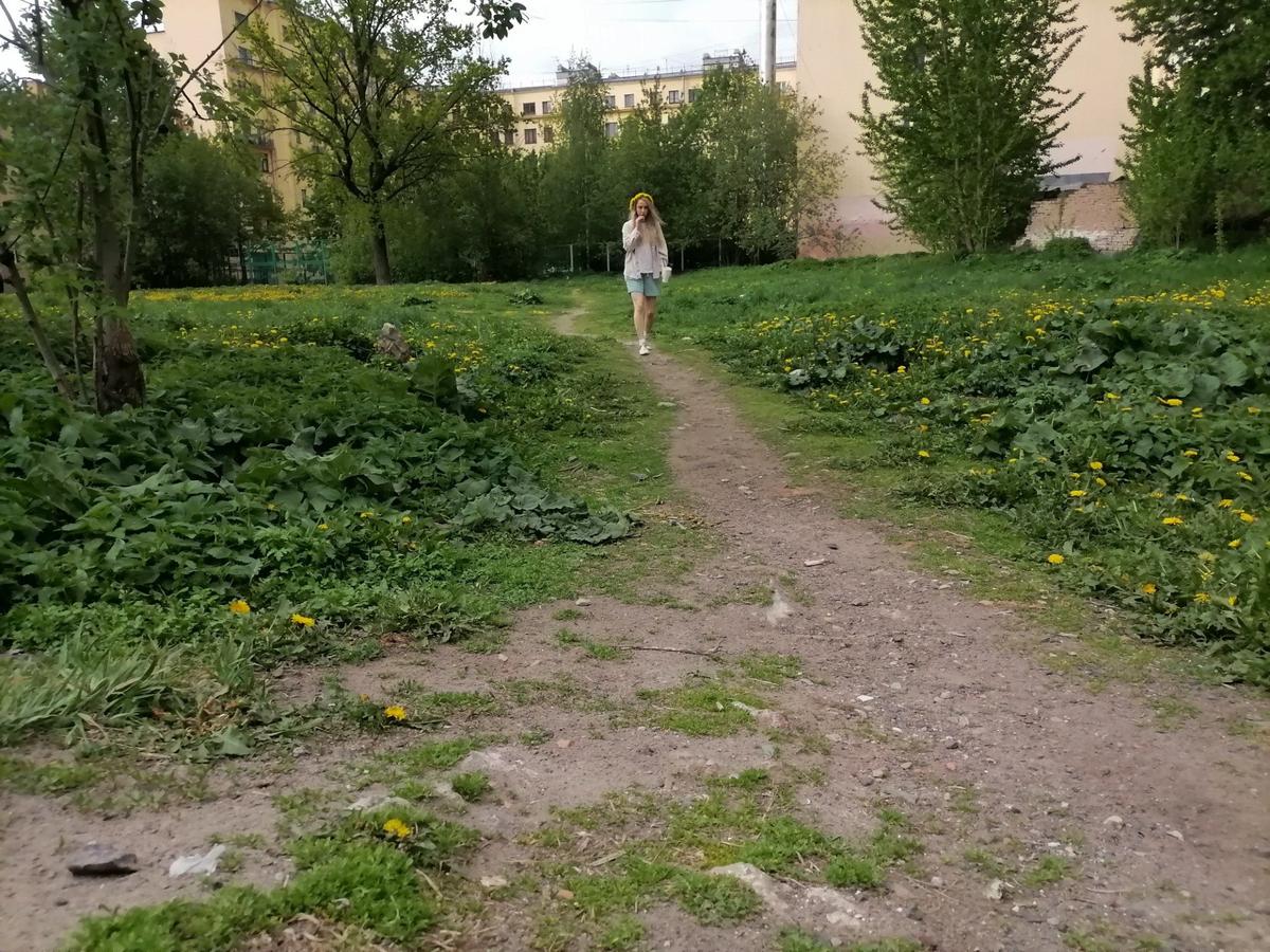 «Сквер Первостроителей» («Общественный сад») — пустырь на месте захоронения строителей Петербурга начала XVIII века, за которым стараются ухаживать активисты. Фото: MR7
