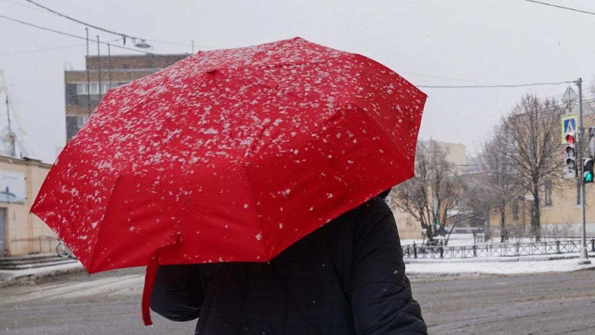 Фото: Виктория Арефьева / MR7