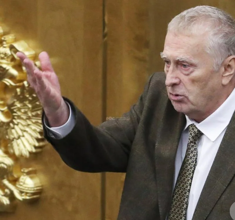 Жириновский в пиджаке. Скриншот: сайт Российского аукционного дома