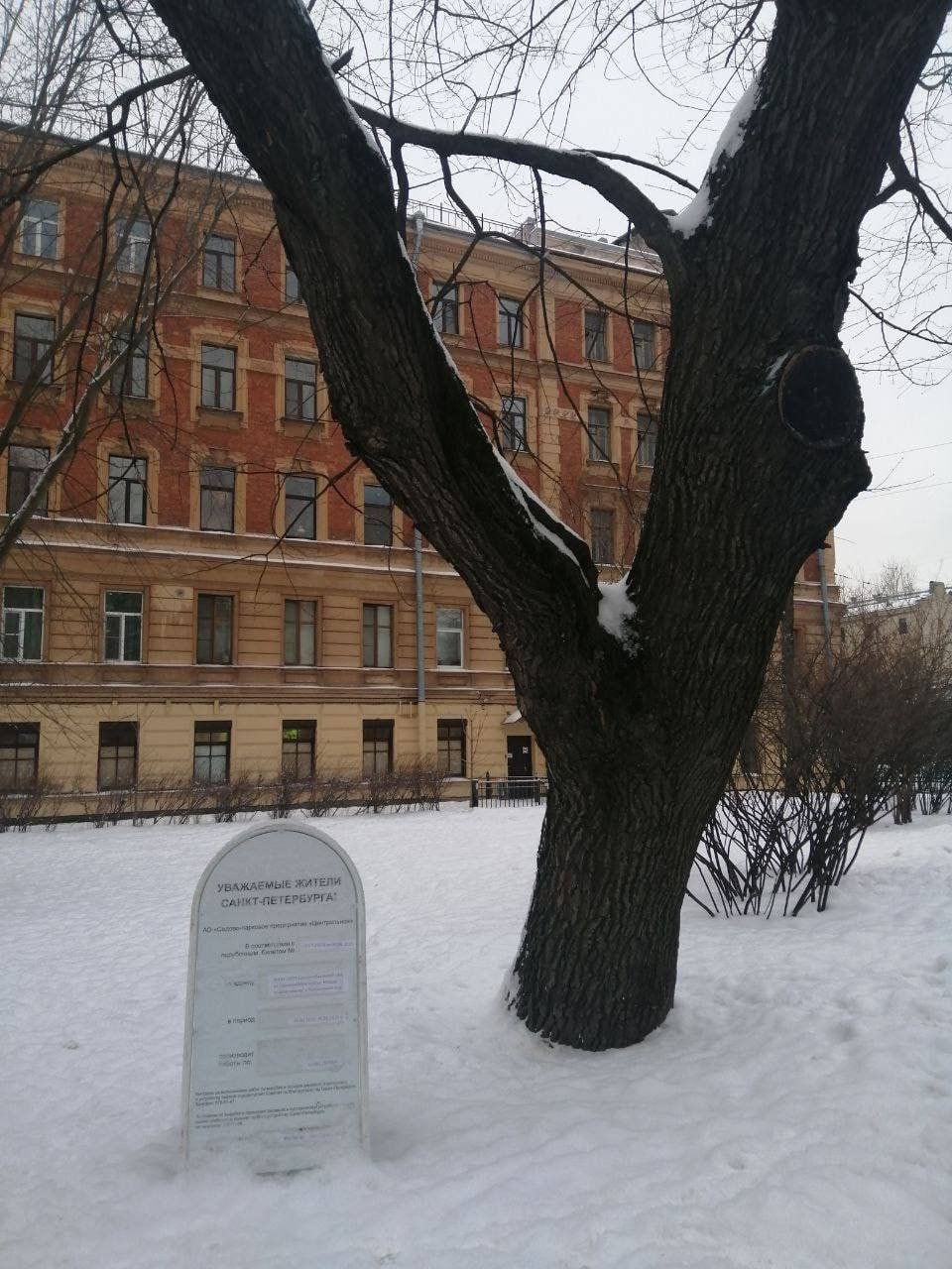 Фото: «Живой город»