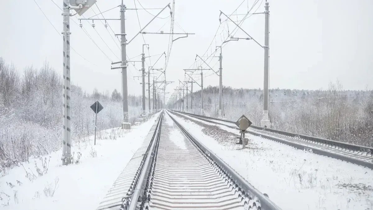 Фото: Олег Золото / MR7