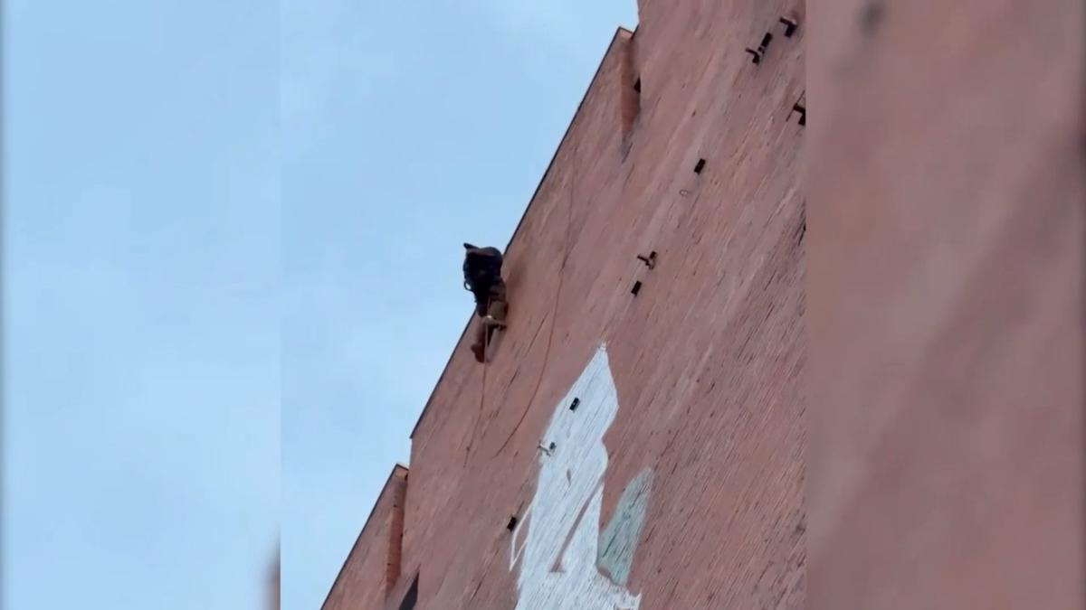 Фото: скриншот видео ГУ Росгвардии