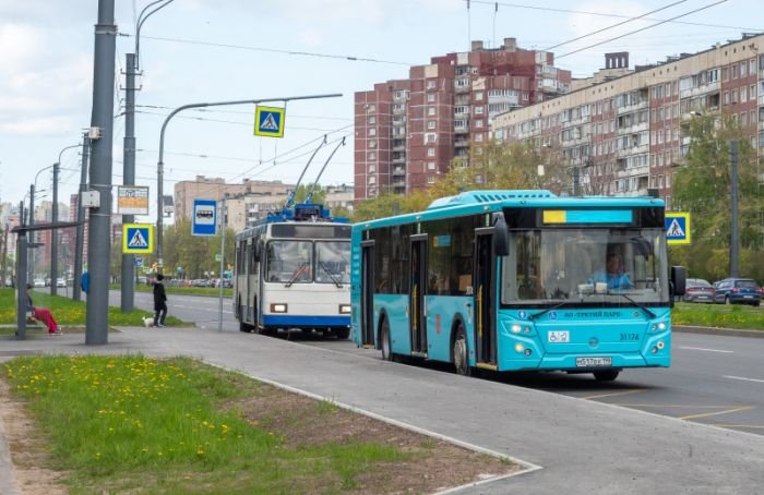 Маршруты семи автобусов Петербурга меняют с 1 сентября