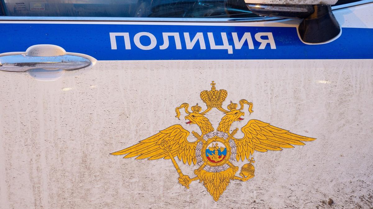Фото: Дмитрий Абрамов / МР7