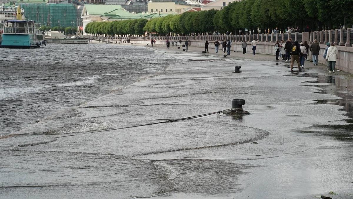 Фото: Павел Борисенко / MR7