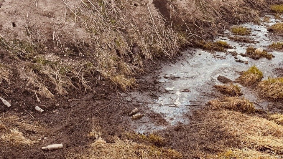 Жители Кировского района вновь жалуются на запах от реки Новой