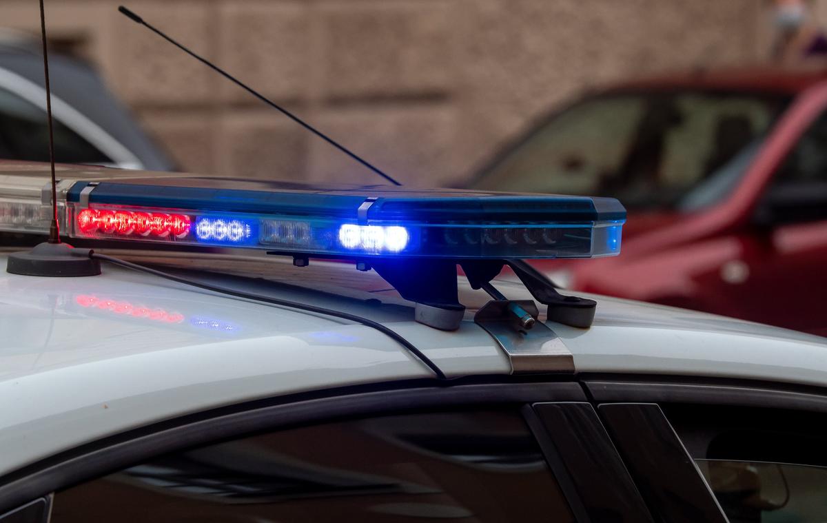 Фото: Олег Золото / MR7