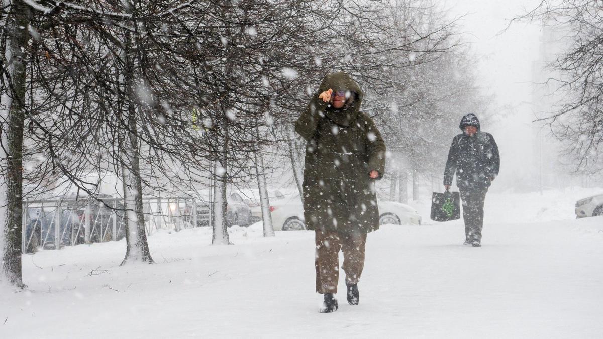 Фото: Олег Золото / MR7