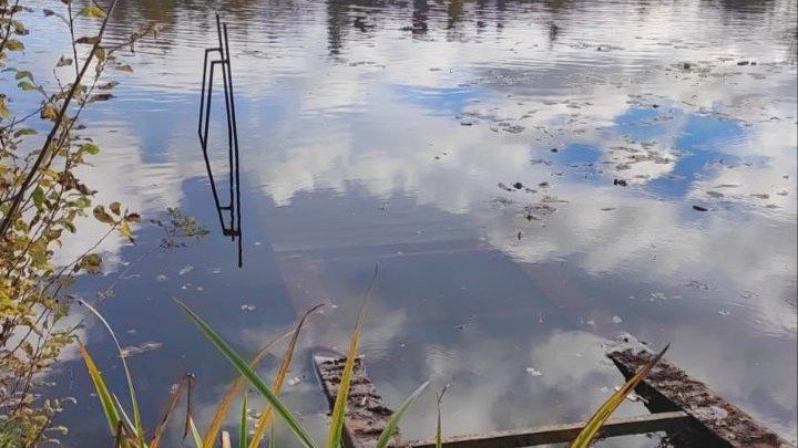 Фото: прокуратура Ленобласти