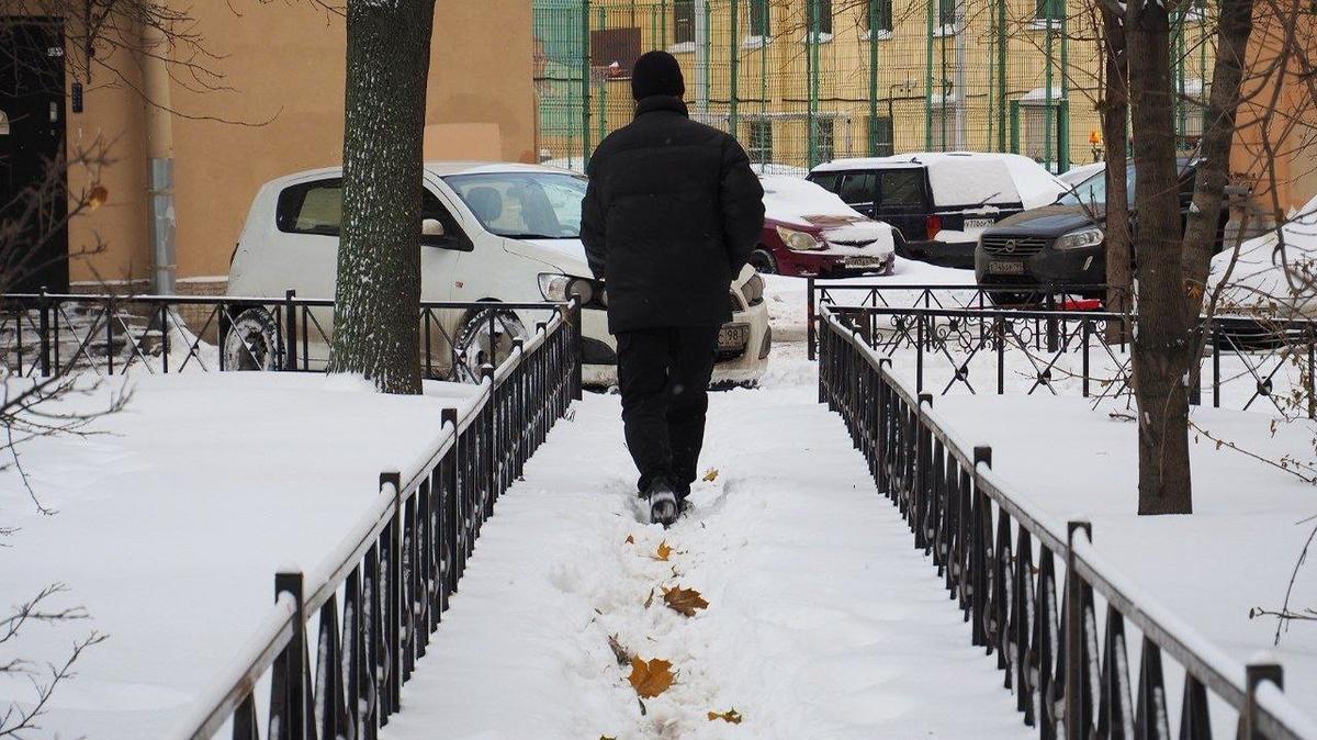 Кому жаловаться на плохую уборку снега в Петербурге: MR7 собрал список номеров