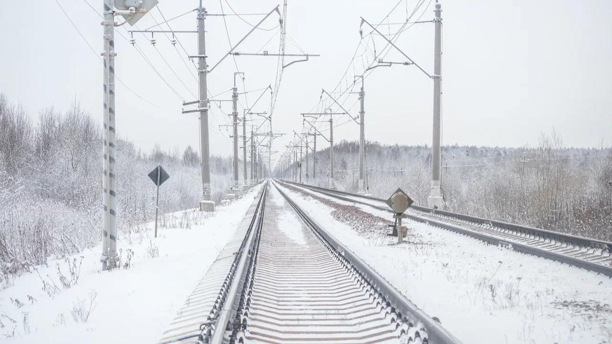 Фото: Олег Золото / MR7