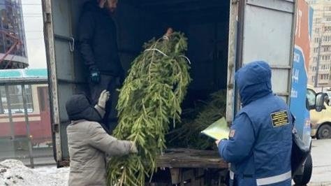 У «Академической» изъяли ели на 60 тысяч рублей