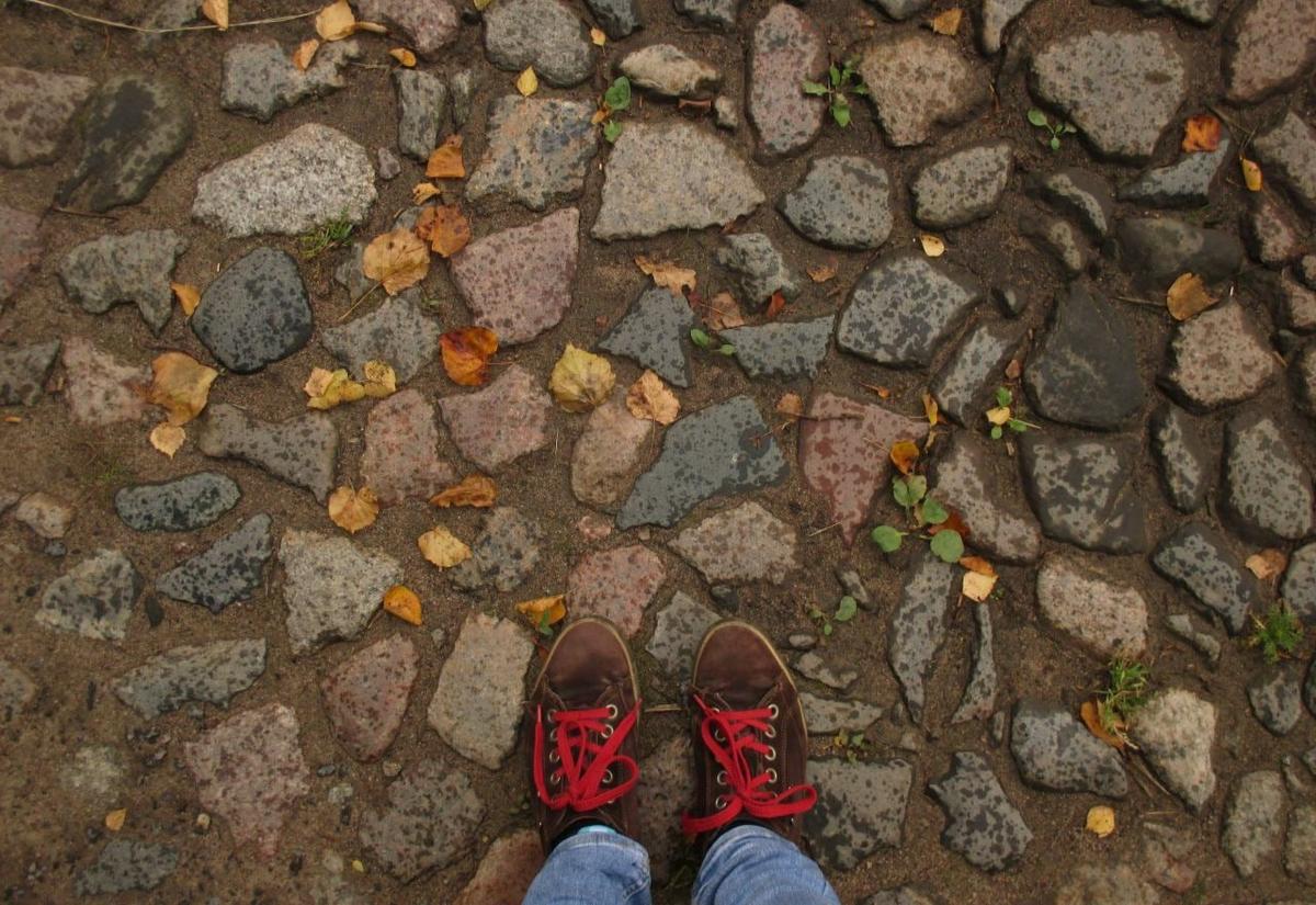 Фото: « Живой город ».