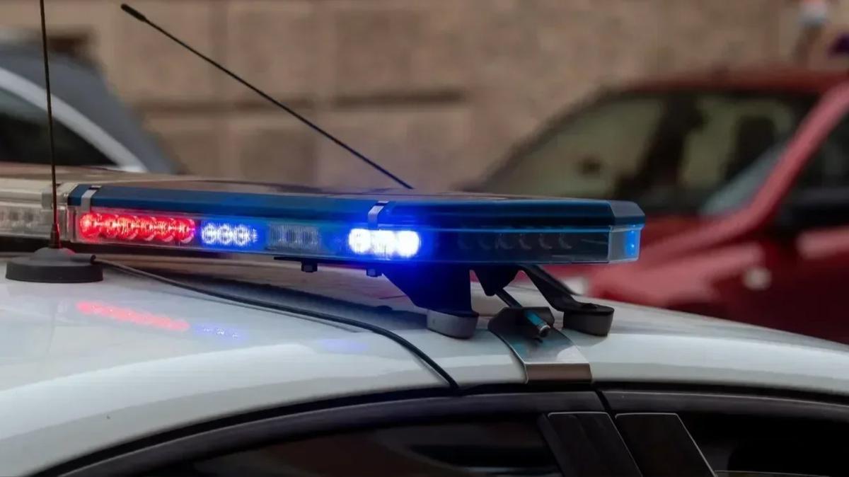 Фото: Дмитрий Абрамов / МР7