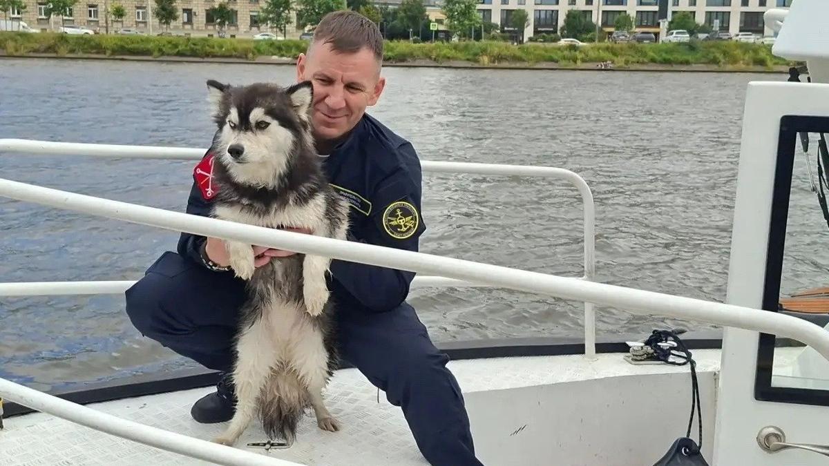 Фото: Агентство внешнего транспорта