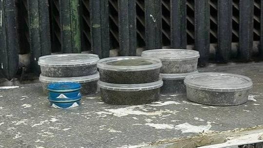 Фото: прокуратура Петербурга