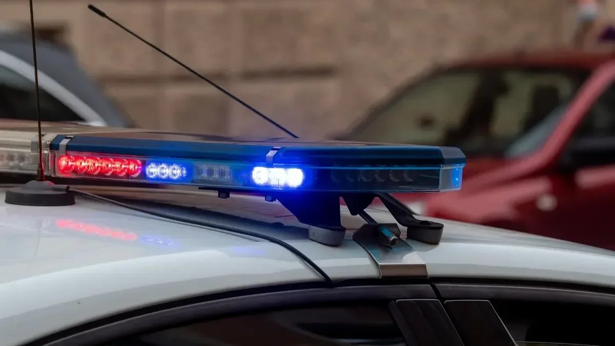 Двух женщин избили и увезли в Колпино — под подозрением бывший сожитель одной из похищенных и его брат