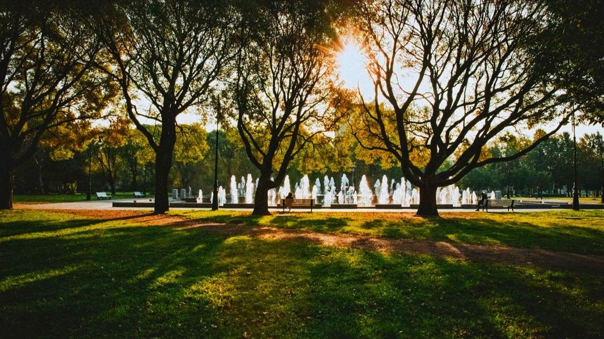 Фото: Смольный