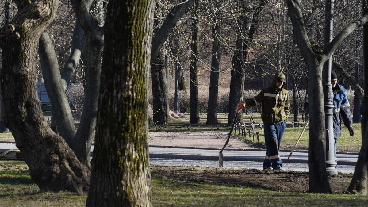 Фото: Павел Борисенко / МР7