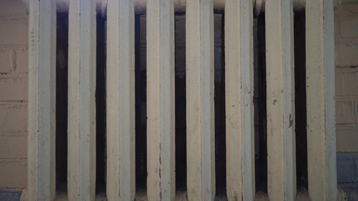 Фото: Дмитрий Абрамов / МР7