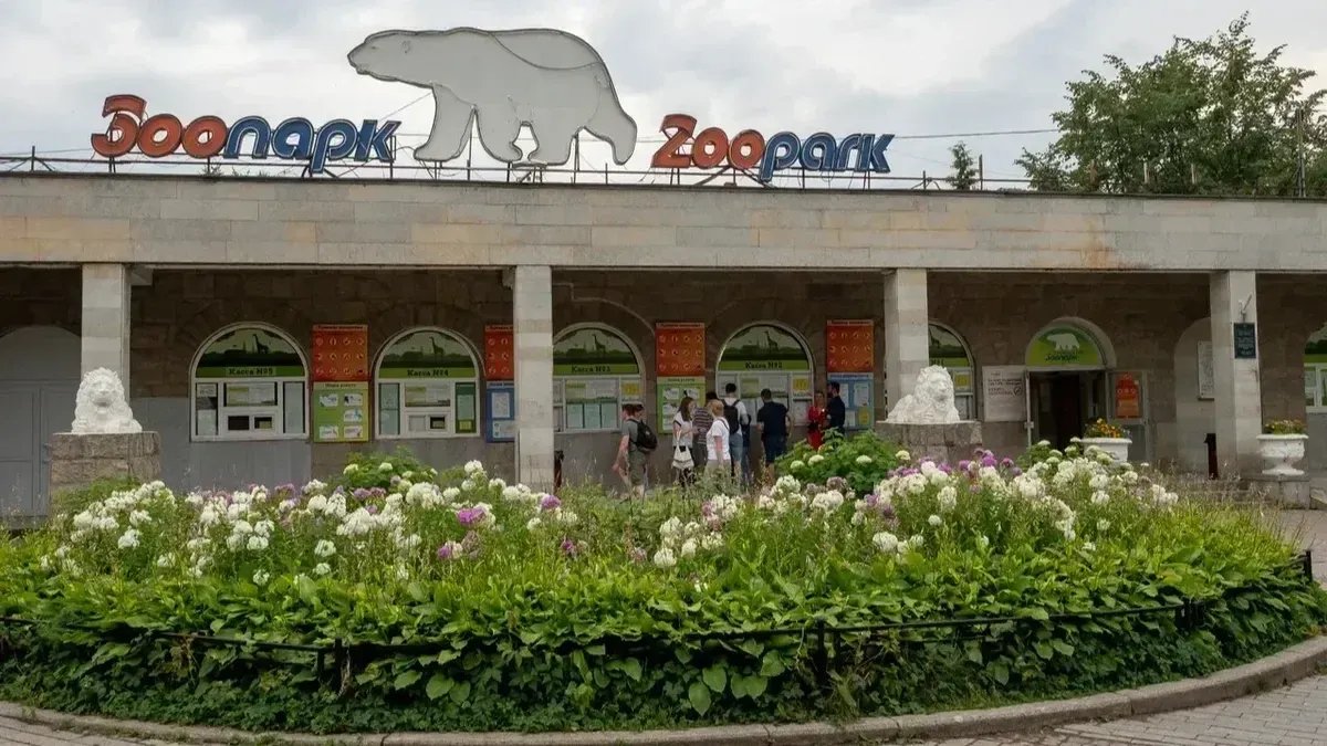 Фото: Олег Золото / MR7