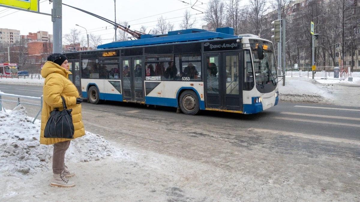 Фото: Олег Золото / MR7