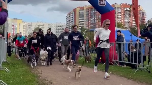 Фото: «Пресс-сек Красногвардейского»