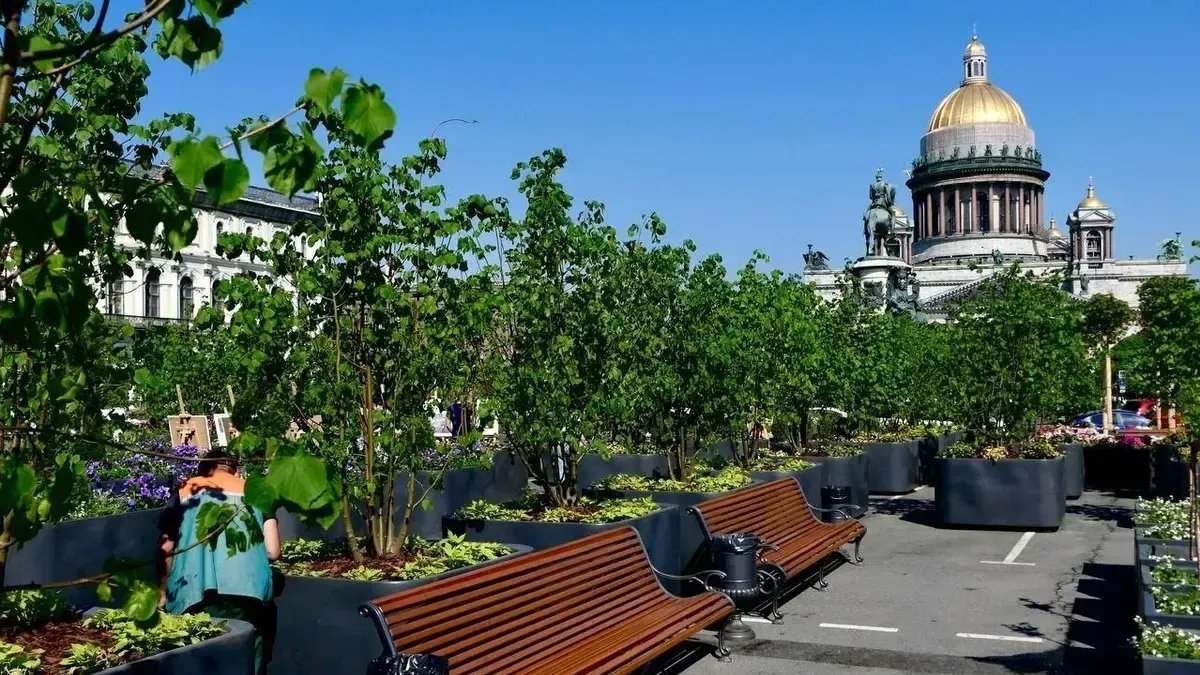 Фото: Павел Даиси / MR7