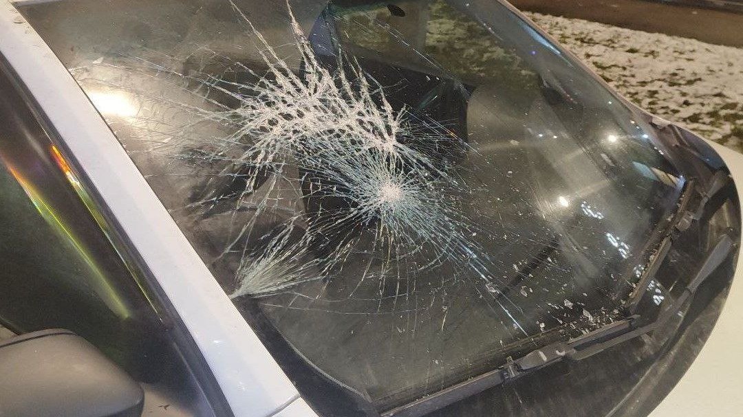 Фото: ГУ Росгвардии по Петербургу и Ленобласти